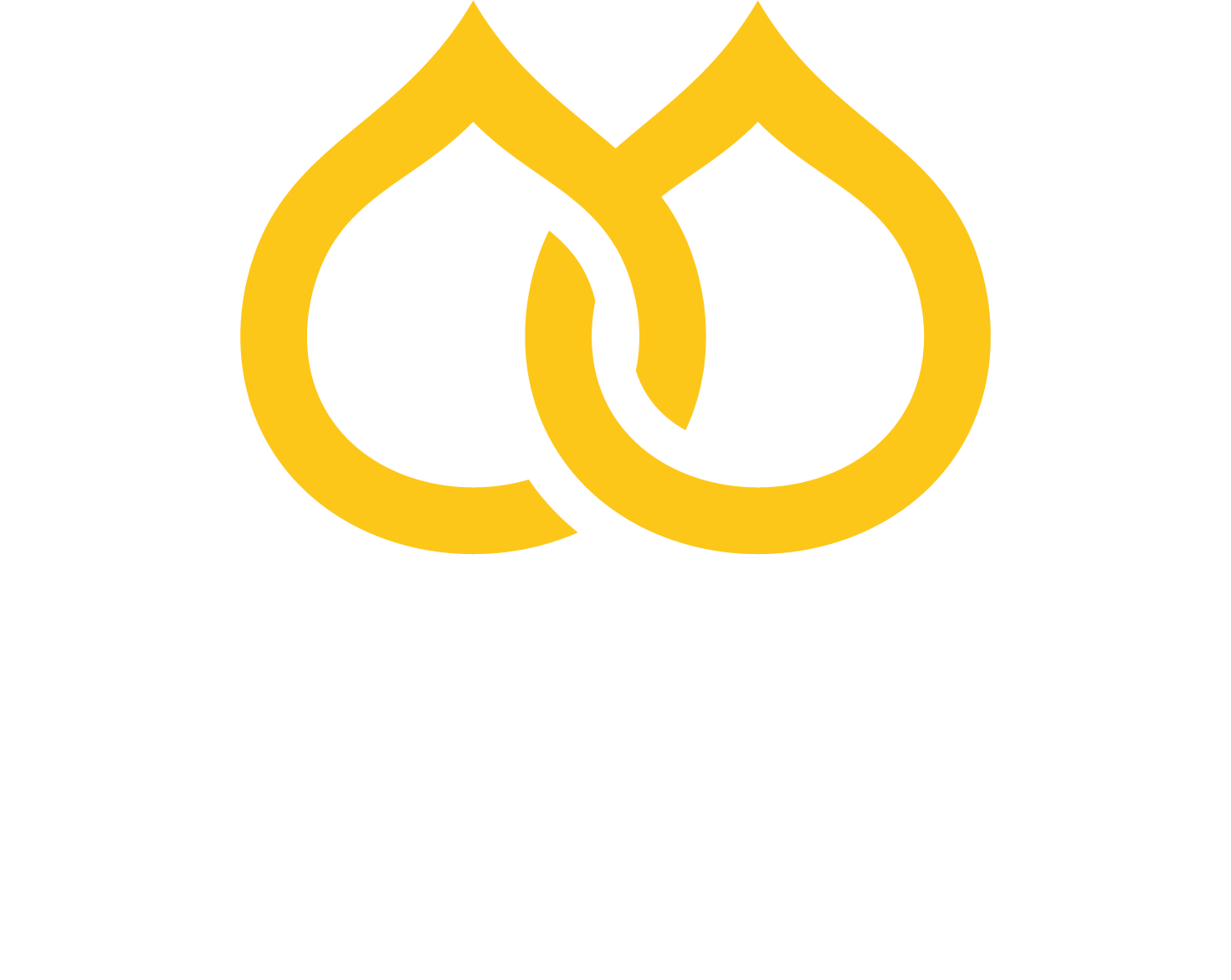 Moulton Bulb Imports